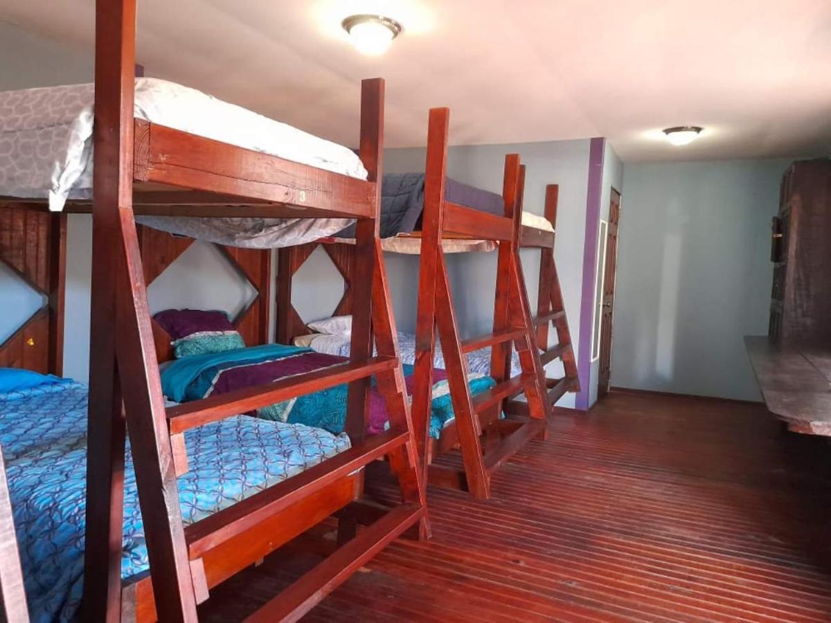 La Delphina Bed And Breakfast Bar And Grill Λα Σέιμπα Εξωτερικό φωτογραφία