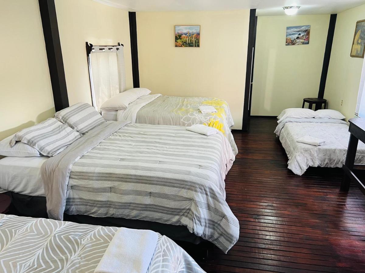 La Delphina Bed And Breakfast Bar And Grill Λα Σέιμπα Εξωτερικό φωτογραφία